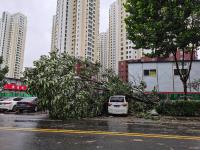 现场直击〡暴雨过后，青岛咋样了？