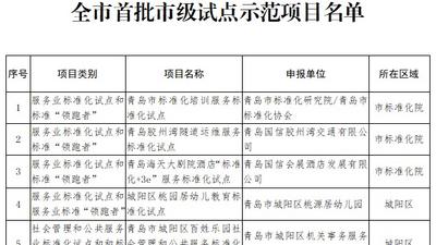 32个项目，涉多个领域！青岛市首批市级标准化试点示范项目名单发布