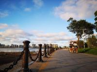 何必去茶卡盐湖 青岛就有一处“天空之境”