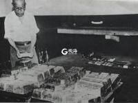 掠夺成性的鬼子 什么资源也不放过丨图说青岛抗战⑪