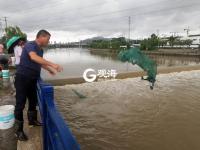 暴暴暴暴雨 就差划船去上班了 