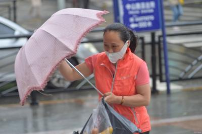 这条标题被刮跑了…… 呼呼呼青岛大风吹袭