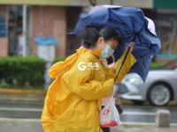 这条标题被刮跑了…… 呼呼呼青岛大风吹袭