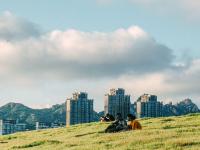 青岛最小清新的公园！航拍网红“小垦丁”