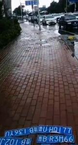 遗失的车牌等主人