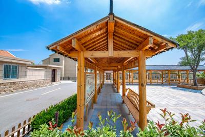 乡村振兴新画卷 绘就唐家庄式“样板村”
