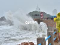 速来围观！惊涛拍岸掀起千层浪