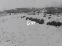 小地雷炸日寇 走到哪响到哪丨图说青岛抗战（19)