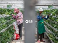 神奇的嬗变 盐碱滩变成宜居新城