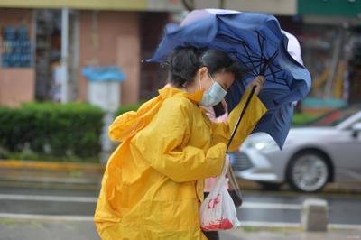 这条标题被刮跑了…… 呼呼呼青岛大风吹袭