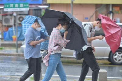 这条标题被刮跑了…… 呼呼呼青岛大风吹袭