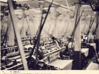 掠夺成性的鬼子 什么资源也不放过丨图说青岛抗战⑪