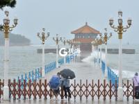 速来围观！惊涛拍岸掀起千层浪