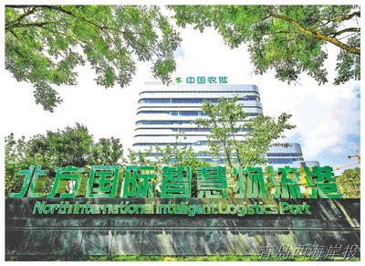 中国农批交易平台在新区启动