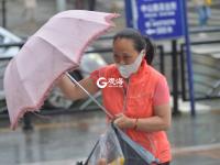 这条标题被刮跑了…… 呼呼呼青岛大风吹袭