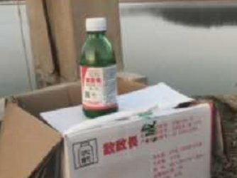 即墨海参养殖户违规使用敌敌畏 已有3名当事人被控制