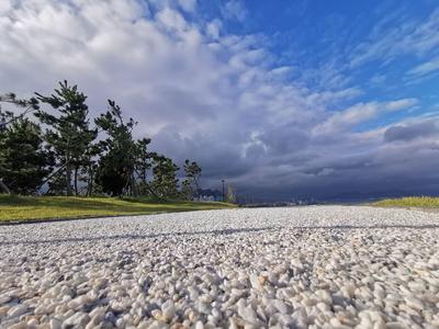 小麦岛雨后重新开放 网红打卡地别有韵味