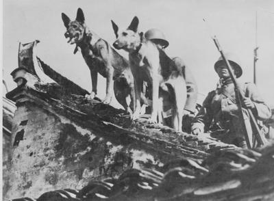 烧杀抢掠 鬼子无恶不作丨图说青岛抗战（14）