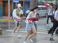 这条标题被刮跑了…… 呼呼呼青岛大风吹袭