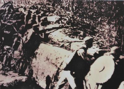 大青杨之战 八路军威名传遍胶东丨图说青岛抗战（18)