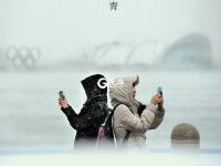 色彩诗意又多情 国色青岛真是太香了（2）