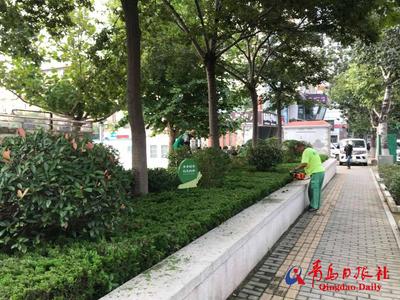 园林公司全员出动！市北文明创城不停步
