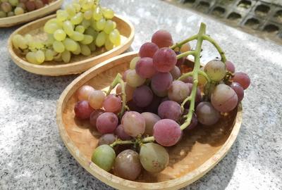 大泽山葡萄熟了，果农笑了！“农创+”串起乡村振兴故事