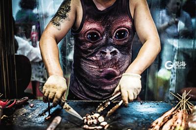 夏日踪迹 总有一个瞬间让你熟悉