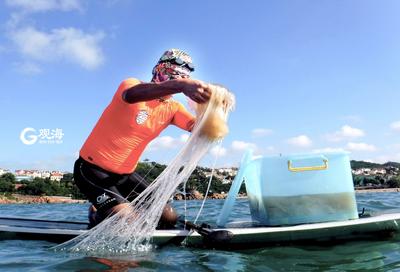 义务除蜇人 海水浴场游泳人的“保护者”
