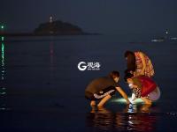 蛤喇“一挖一麻袋” 栈桥夜赶海拾趣多