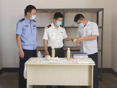 周知！禁止通过寄递渠道寄递国家重点保护的珍贵、濒危野生动物及其制品  