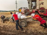 稻香秫熟暮秋天，阡陌纵横万亩连