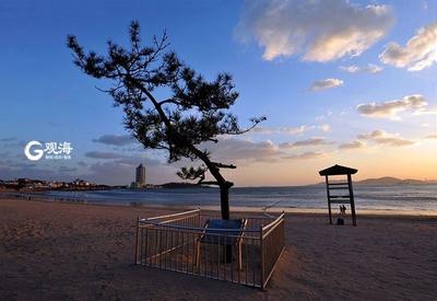 一浴的“树坚强” 陪你看过春夏与秋冬