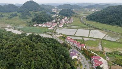 金刺梨生金  贫困村变身别墅村