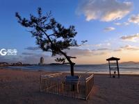 一浴的“树坚强” 陪你看过春夏与秋冬