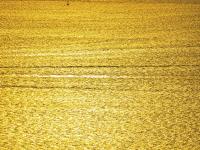 大船落日，“观海001”看到这样的胶州湾