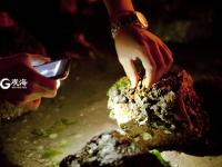 蛤喇“一挖一麻袋” 栈桥夜赶海拾趣多