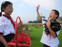 小小农夫 打卡校园里的“屋顶农场”