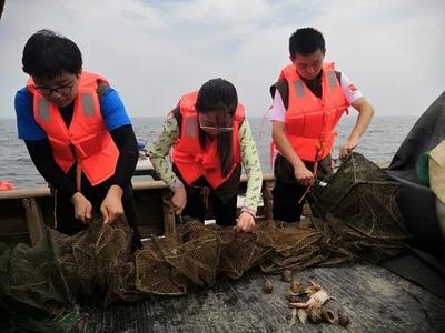 城阳开展保护胶州湾生物多样性、践行生态文明实践活动