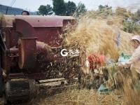 稻香秫熟暮秋天，阡陌纵横万亩连