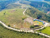 美图预警！实拍500米悬崖上的网红餐厅