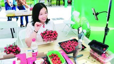 瞰青岛周刊：女村书记直播带货销售10多万斤圣女果  