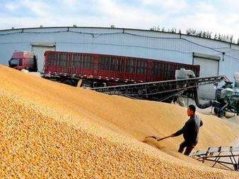 我国粮食产后损失接近“一年一个吉林”，“产后护理”空间巨大