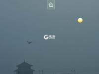 色彩诗意又多情 国色青岛真是太香了（2）