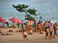 一浴的“树坚强” 陪你看过春夏与秋冬