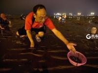 蛤喇“一挖一麻袋” 栈桥夜赶海拾趣多