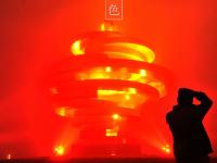  色彩诗意又多情 国色青岛真是太香了