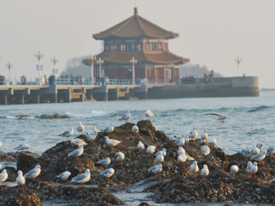 ​青岛市政府与兰州市政府签署战略合作框架协议，王清宪李荣灿出席签约仪式