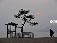 一浴的“树坚强” 陪你看过春夏与秋冬