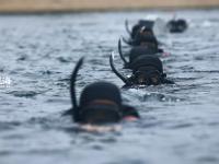 揭秘 | 水下特种兵的“危险游戏”